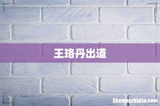 王珞丹出道
