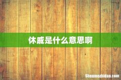 休戚是什么意思啊