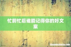 忙前忙后谁能记得你的好文案