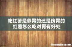 吃红薯是养胃的还是伤胃的 红薯怎么吃对胃有好处