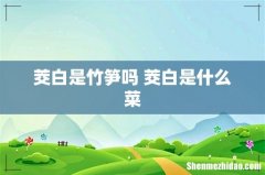 茭白是竹笋吗 茭白是什么菜