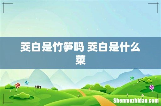 茭白是竹笋吗 茭白是什么菜
