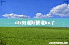 ufc努涅斯被谁ko了