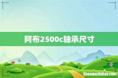 阿布2500c轴承尺寸