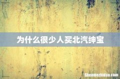 为什么很少人买北汽绅宝