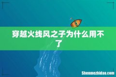 穿越火线风之子为什么用不了