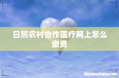日照农村合作医疗网上怎么缴费