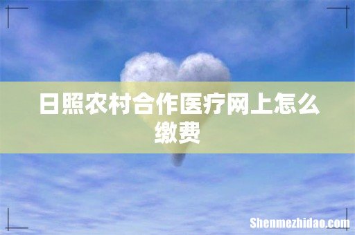 日照农村合作医疗网上怎么缴费