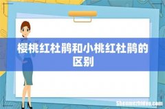 樱桃红杜鹃和小桃红杜鹃的区别