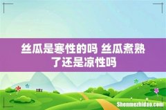 丝瓜是寒性的吗 丝瓜煮熟了还是凉性吗