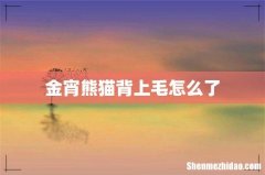 金宵熊猫背上毛怎么了