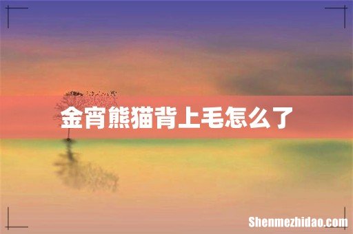 金宵熊猫背上毛怎么了
