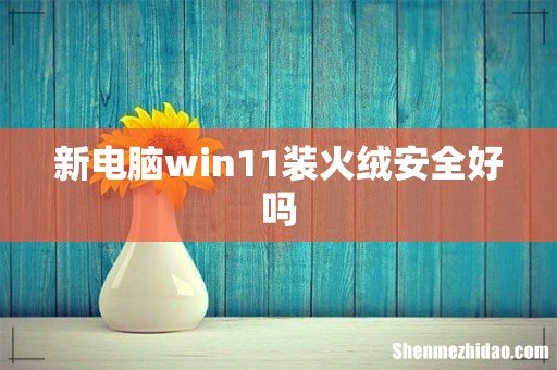 新电脑win11装火绒安全好吗