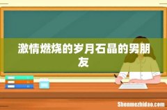 激情燃烧的岁月石晶的男朋友