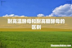 耐高温酵母和耐高糖酵母的区别