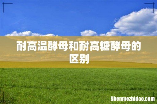 耐高温酵母和耐高糖酵母的区别