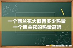 一个西兰花大概有多少热量 一个西兰花的热量高吗
