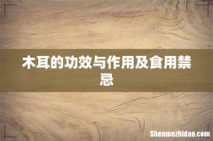 木耳的功效与作用及食用禁忌