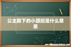 公主殿下的小跟班是什么意思