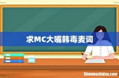 求MC大嘴韩毒麦词