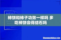 柿饼和柿子功效一样吗 多吃柿饼会得结石吗