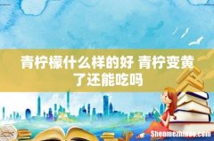 青柠檬什么样的好 青柠变黄了还能吃吗