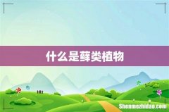 什么是藓类植物