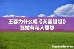 王蓉为什么唱《芙蓉姐姐》骂她有私人恩怨