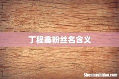 丁程鑫粉丝名含义
