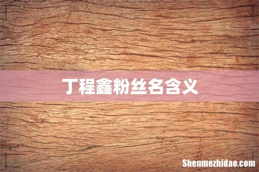 丁程鑫粉丝名含义