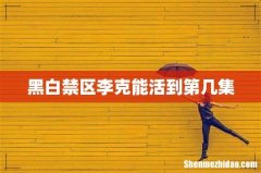 黑白禁区李克能活到第几集