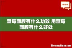 蓝莓面膜有什么功效 用蓝莓面膜有什么好处