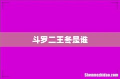 斗罗二王冬是谁
