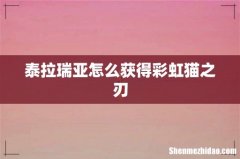 泰拉瑞亚怎么获得彩虹猫之刃