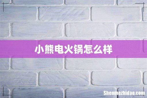 小熊电火锅怎么样