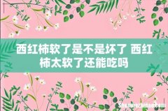 西红柿软了是不是坏了 西红柿太软了还能吃吗