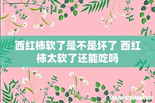 西红柿软了是不是坏了 西红柿太软了还能吃吗
