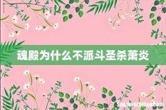 魂殿为什么不派斗圣杀萧炎