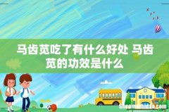 马齿苋吃了有什么好处 马齿苋的功效是什么