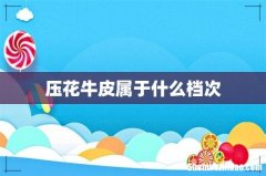 压花牛皮属于什么档次