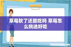 草莓软了还能吃吗 草莓怎么挑选好吃