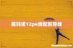 禧玛诺12pe线配前导线