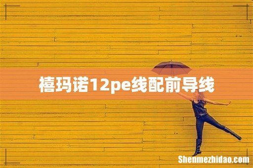禧玛诺12pe线配前导线