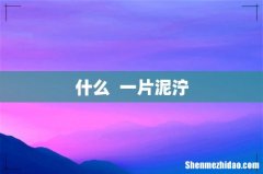 什么一片泥泞