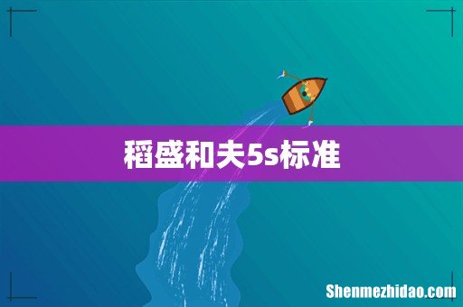 稻盛和夫5s标准