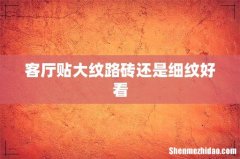 客厅贴大纹路砖还是细纹好看