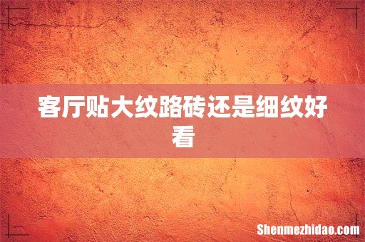 客厅贴大纹路砖还是细纹好看