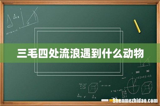 三毛四处流浪遇到什么动物