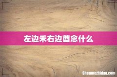 左边禾右边酋念什么