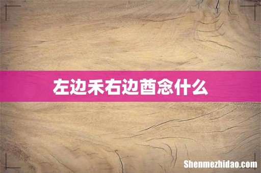 左边禾右边酋念什么